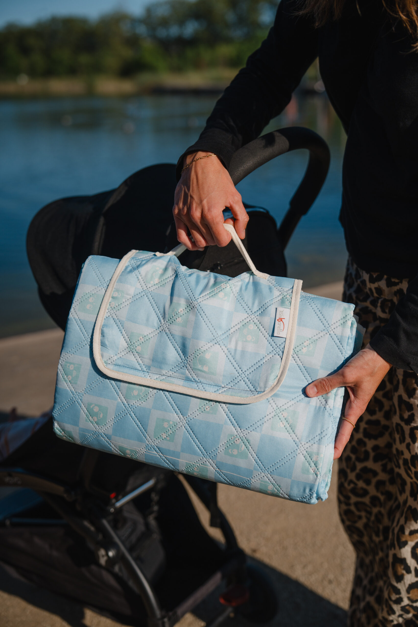 Manta Picnic Blue Chess